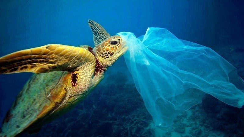 why is plastic bad for the environment