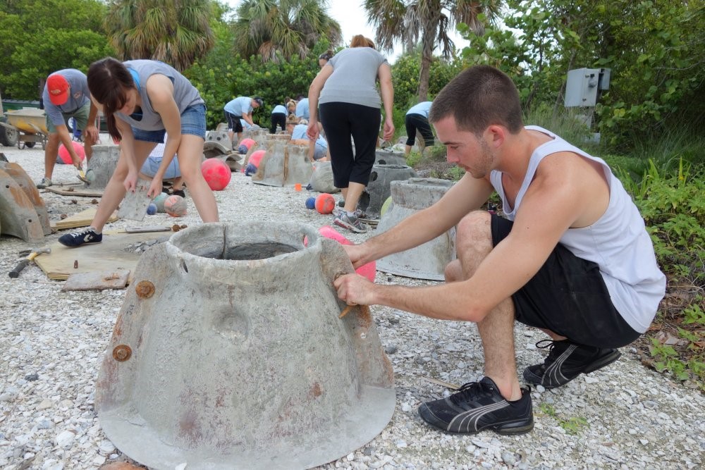 oyster_dome_construction IDEAS For Us