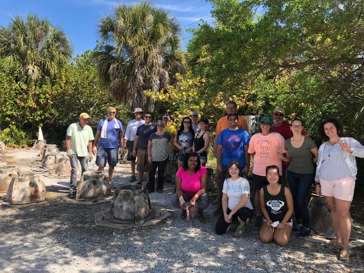 Oysters The Filter Feeders of The Bay IDEAS For Us