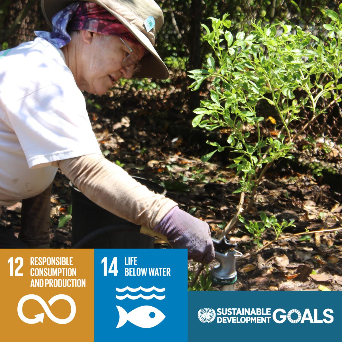 Sponsor Environmental Action | Fund Eco-Action Projects | IDEAS For Us
