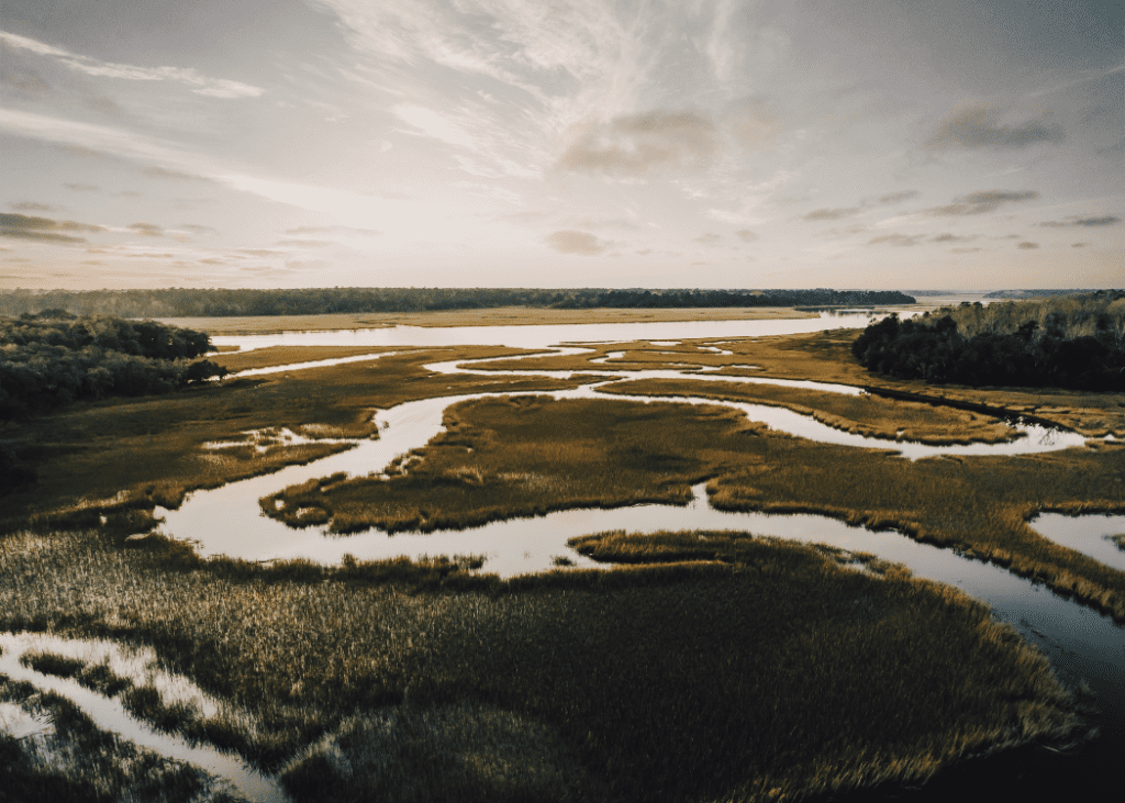 protecting peatlands congo