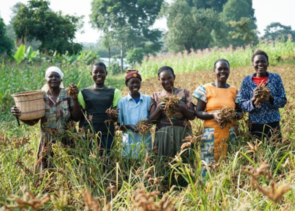 south sudan nonprofit