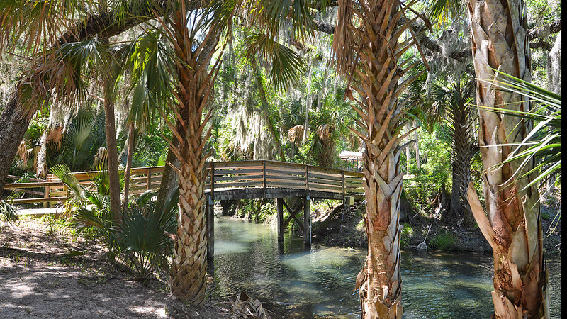 10 Natural Springs in Florida 