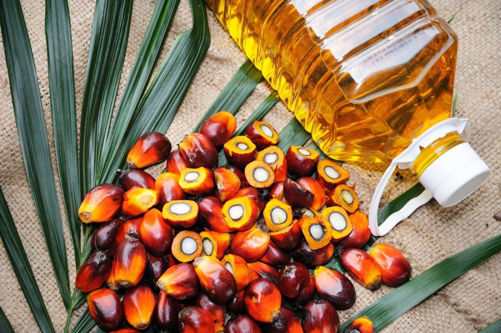 dangers of palm oil