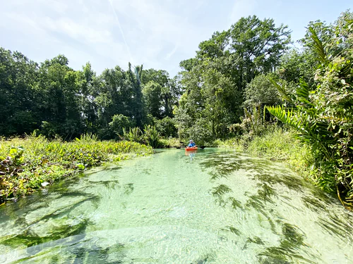 herbicides in natural water bodies