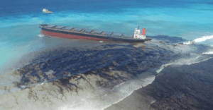 bioremediation to clean up oil spills