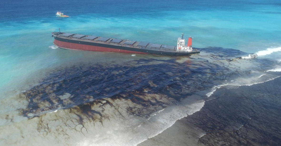 bioremediation to clean up oil spills