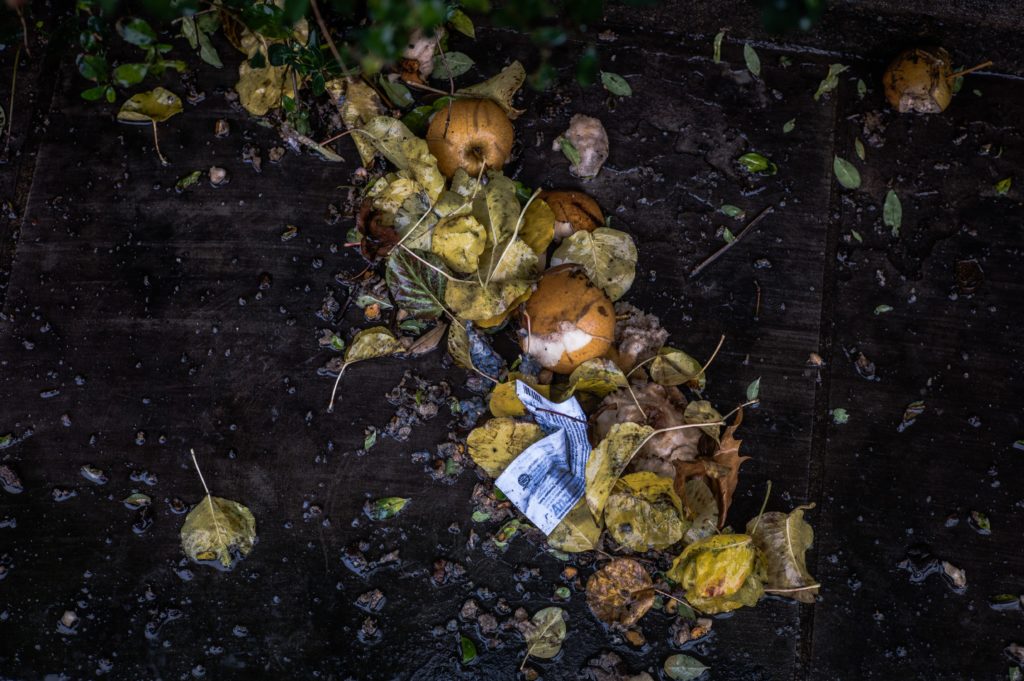 wasteful food practices
