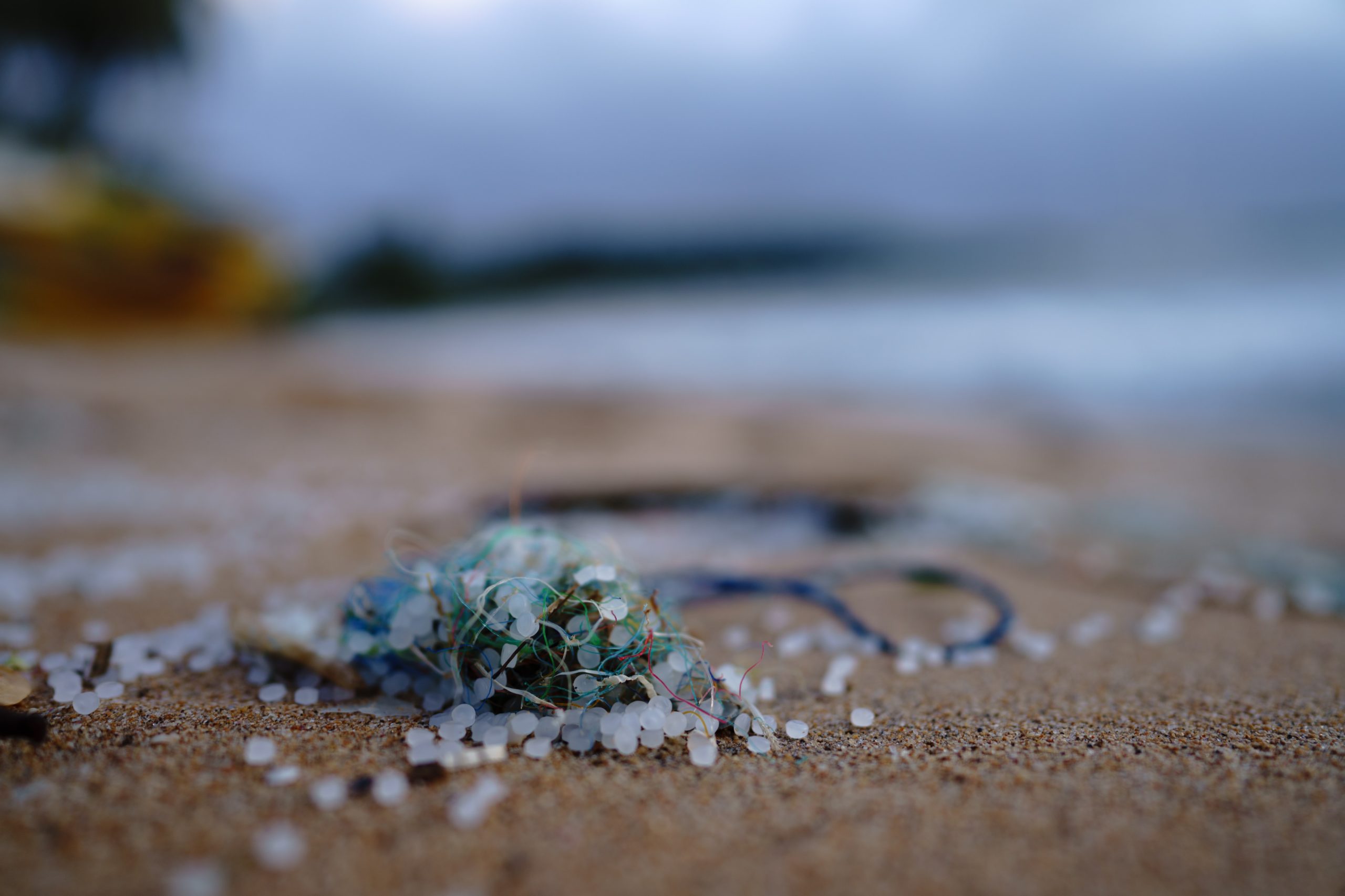 all about microplastics