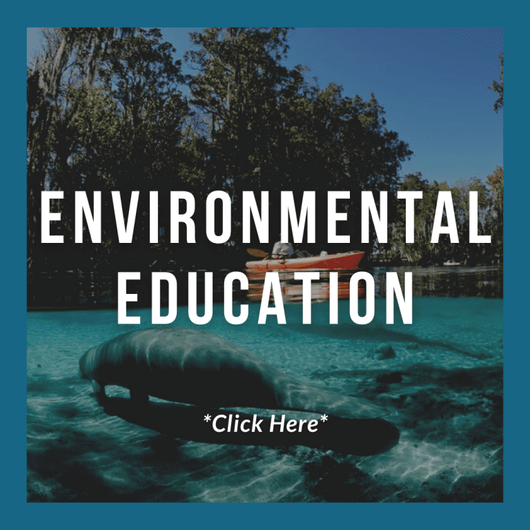 Internships in Orlando FL Environmental Internships IDEAS For Us