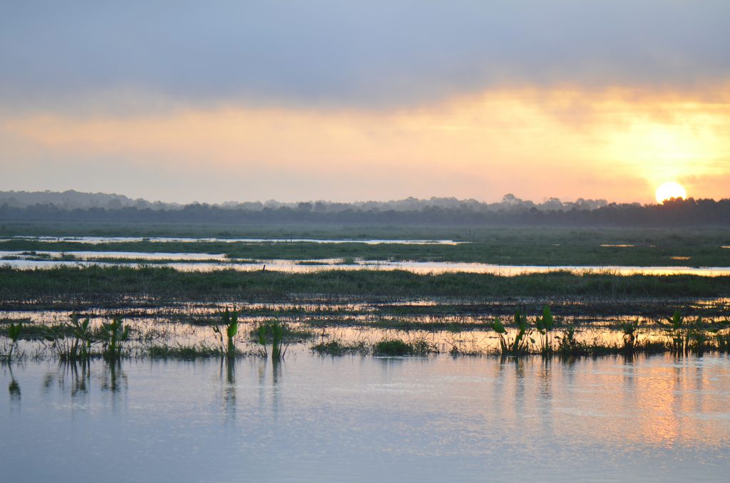 Sun rises over the swampy St. Johns River in central Florida.