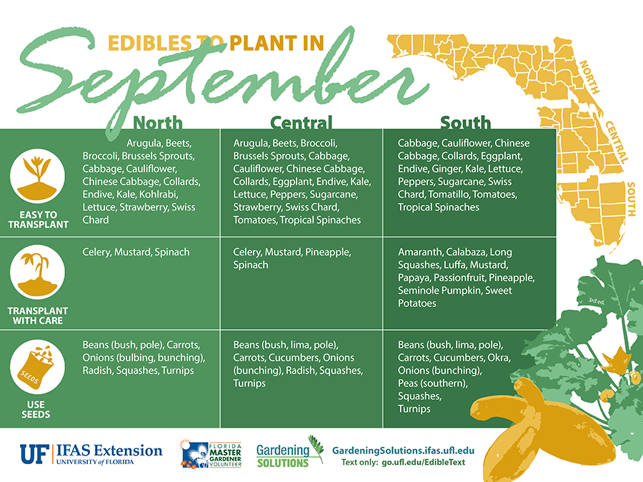 September planting guide florida