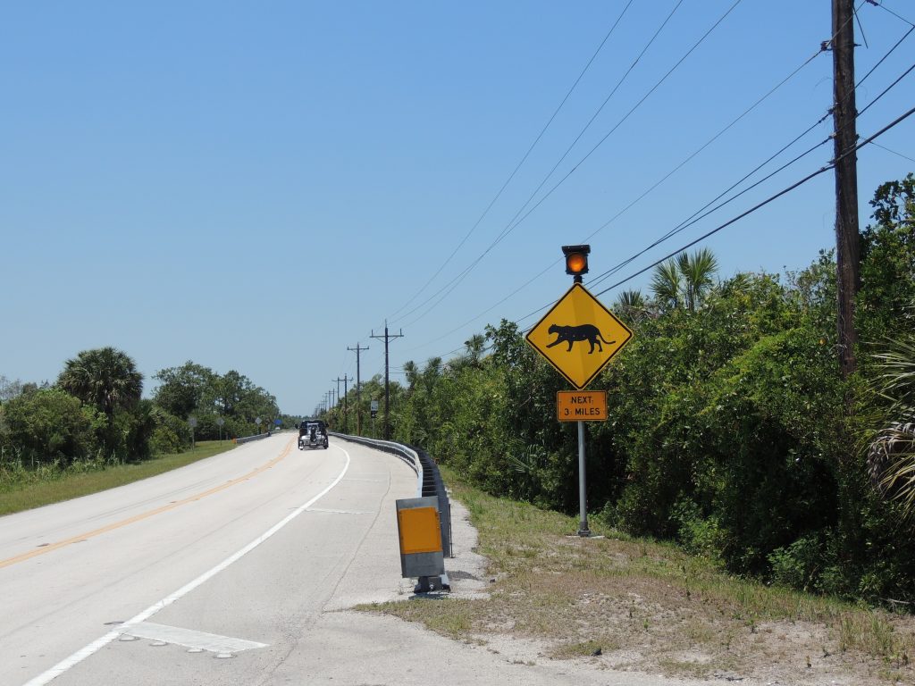 wildlife corridor