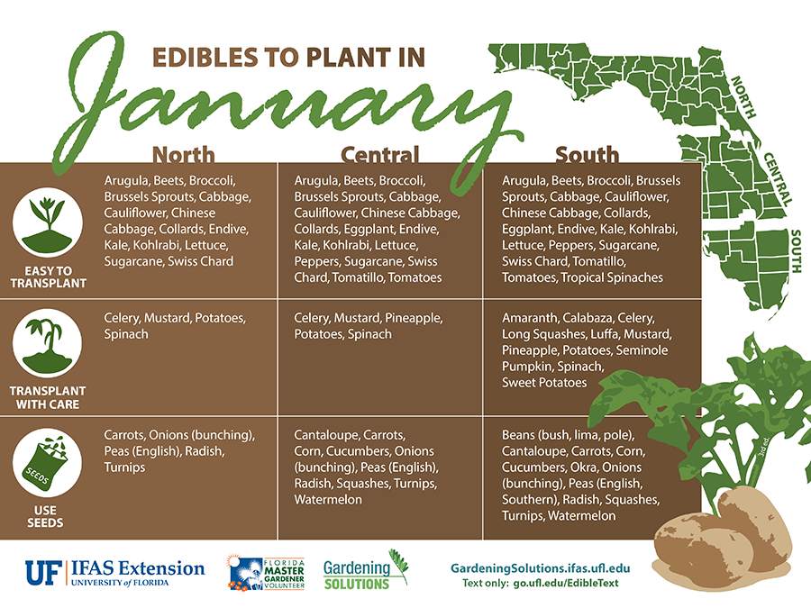 January Planting Guide Florida