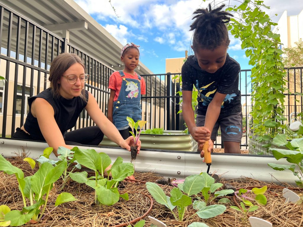 school gardens