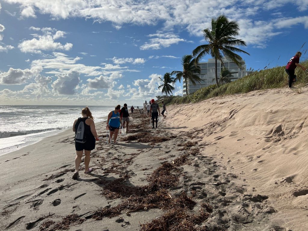 beach clean-ups