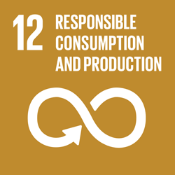 SDG12 United Nations Ideas for Us