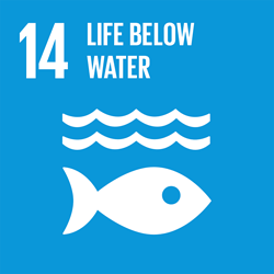 SDG14 United Nations Ideas for US