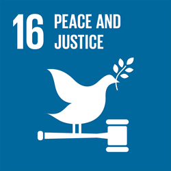 SDG16 United Nations and Ideas for US