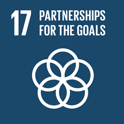 SDG17 United Nations Ideas for Us