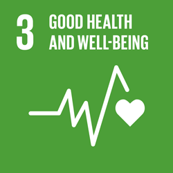 SDG3 United Nations Good Health
