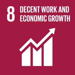 SDG8 United Nations Ideas for US