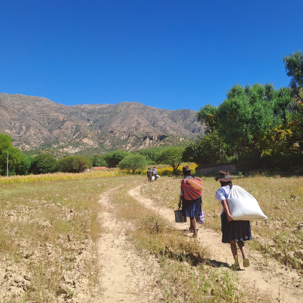 Bolivia's environmental issues
