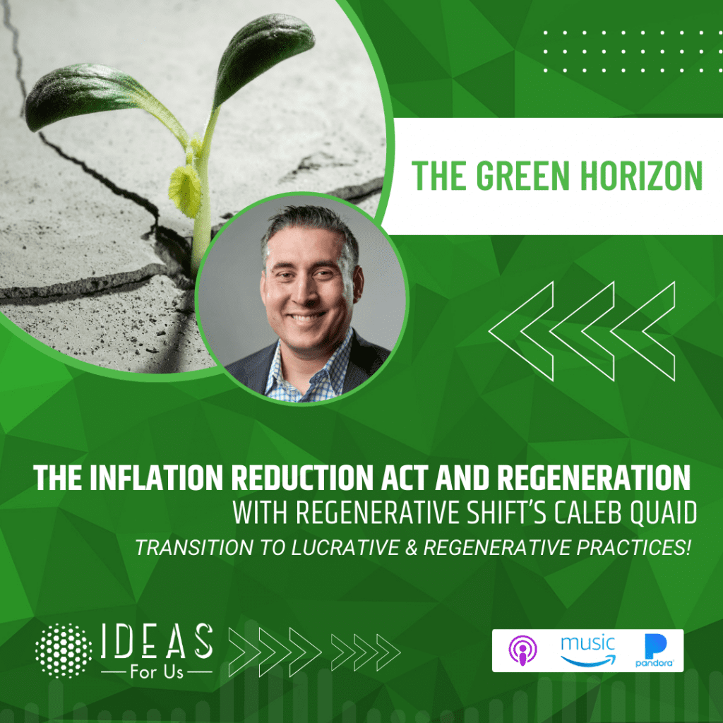 inflation reduction act